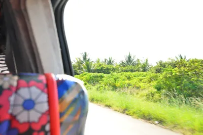 DSC_4642 (Large).JPG